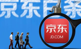 白条支付什么意思 白条支付怎么还款