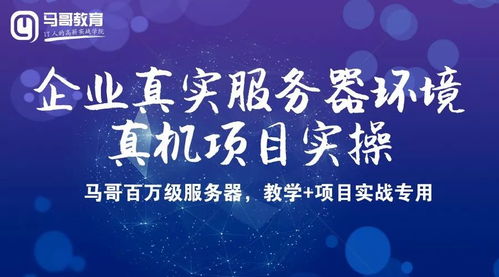 马哥教育服务体系升级,2019十大服务上线